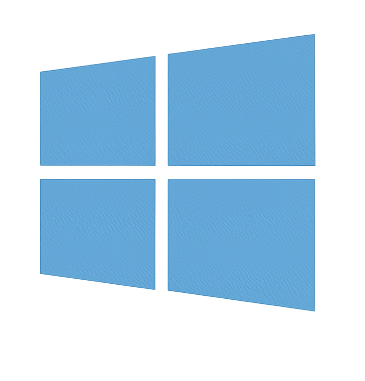 Microsoft Server